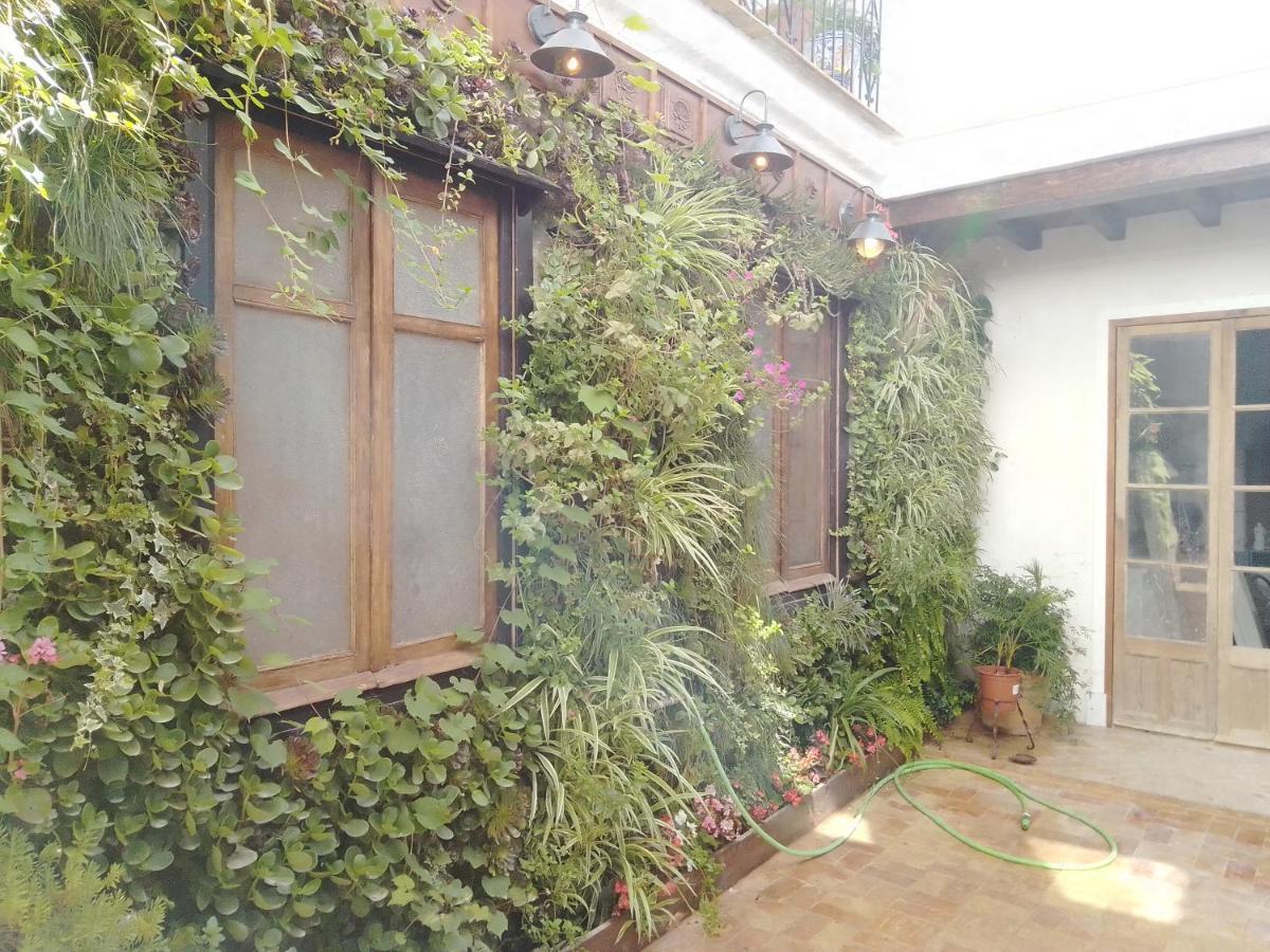 La Gota De Leche 3 Appartement Sanlúcar de Barrameda